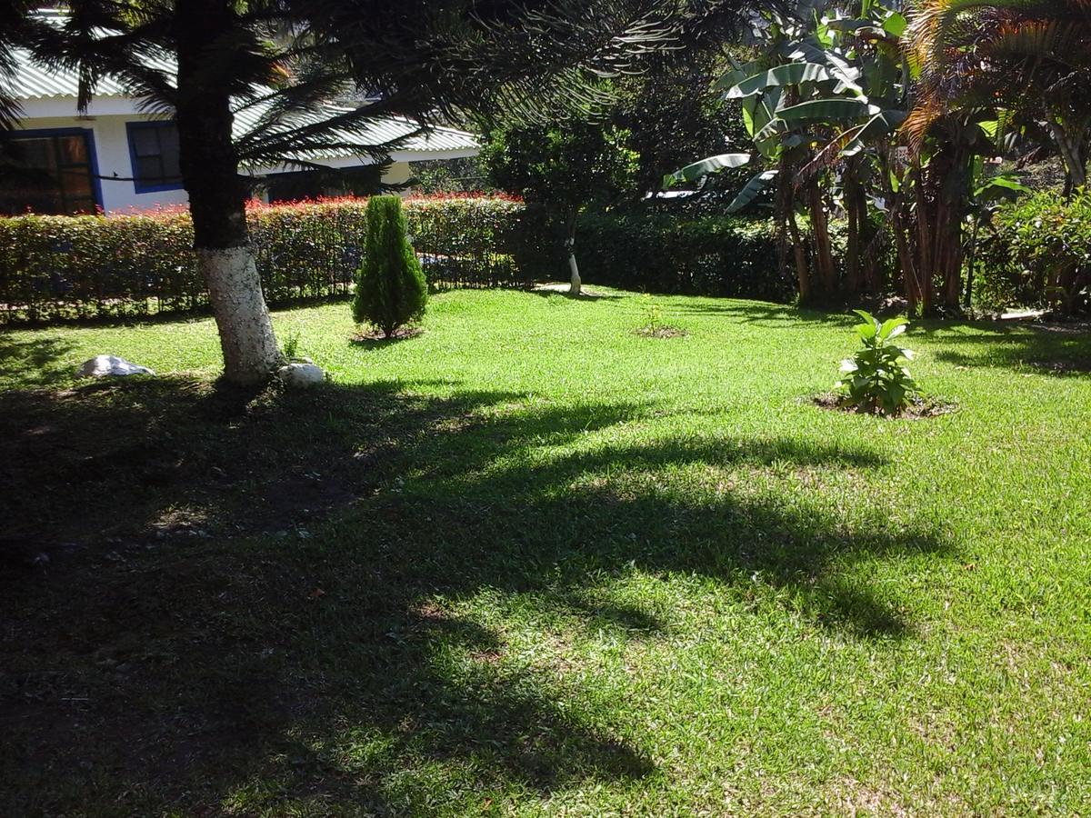 Hotel Villa Paz سان فرانسيسكو المظهر الخارجي الصورة